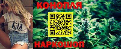 гидропоника Гусиноозёрск