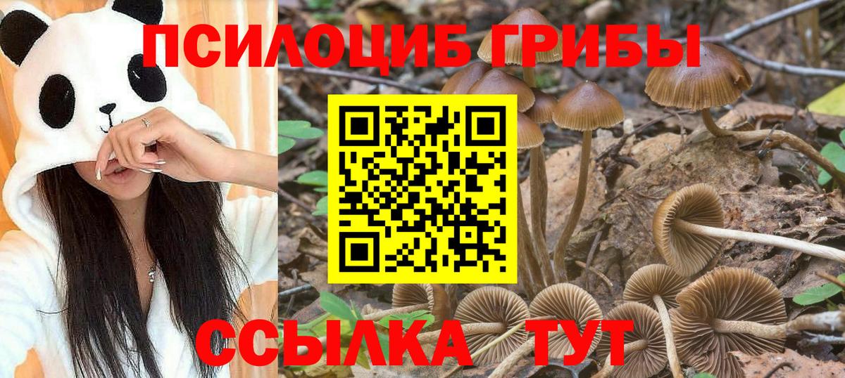 Псилоцибиновые грибы MAGIC MUSHROOMS  Вход с VPN  Псилоцибиновые грибы GOLDEN TEACHER  купить закладку  Еманжелинск 